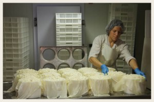 Clara treballant a la formatgeria